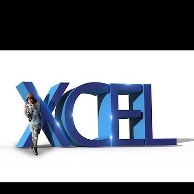 Xcel Hostings