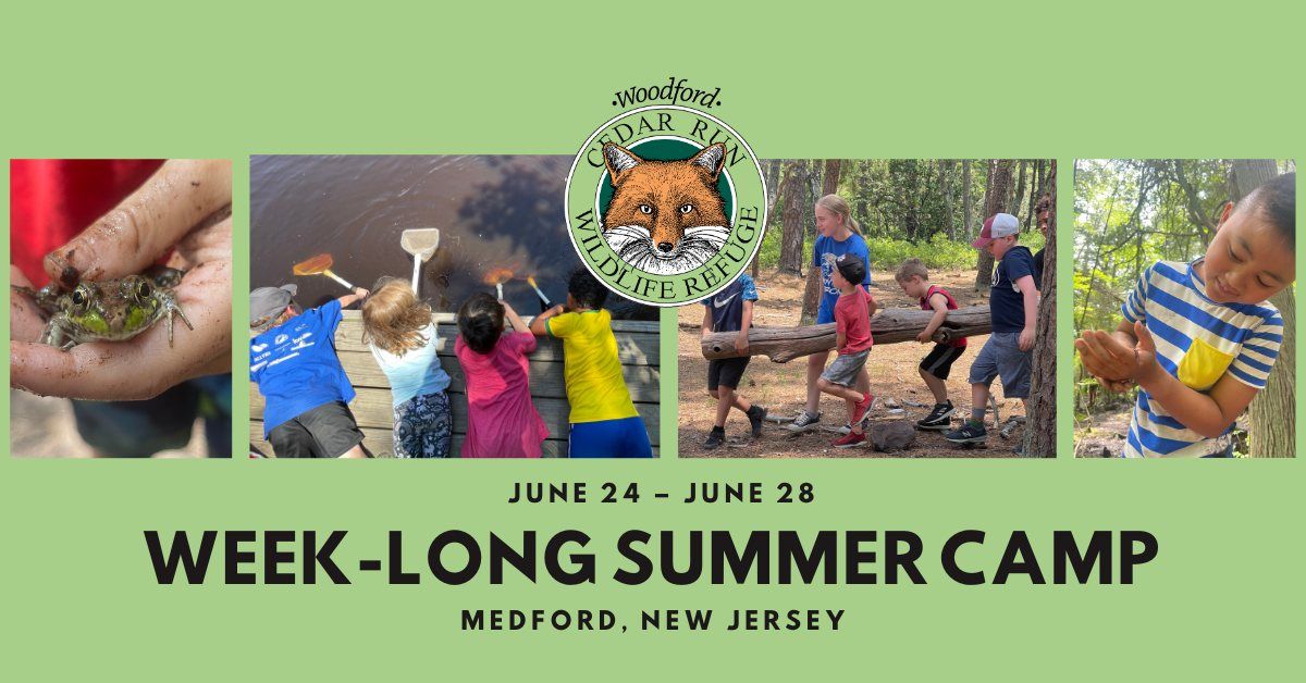 Summer Camp at Cedar Run: June 24 - June 28