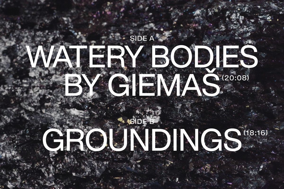 Watery Bodies by Giema\u0161