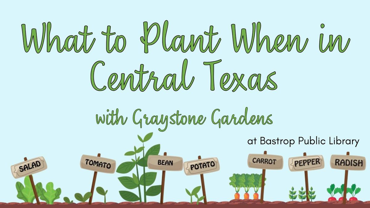 What to Plant When in Central Texas