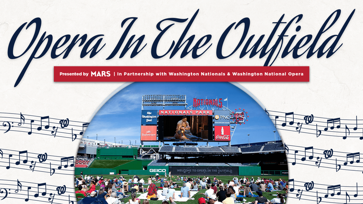 Parking New York Yankees at Washington Nationals