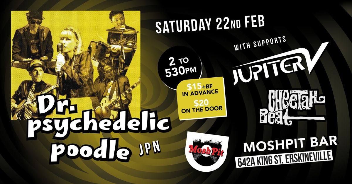 Dr Psychedelic Poodle (JAPAN) with Jupiter 5 and Cheetah Beat