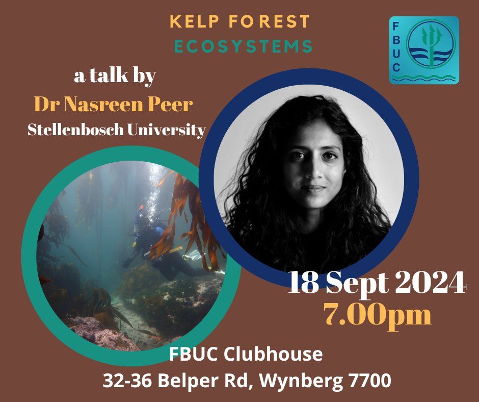 Talk: Kelp Forest Ecosystems