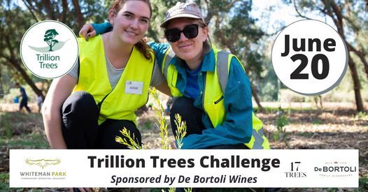 Trillion Trees Challenge (Sunday 20th June)