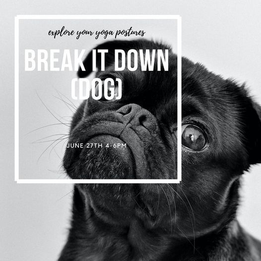 Break it Down (Dog)!