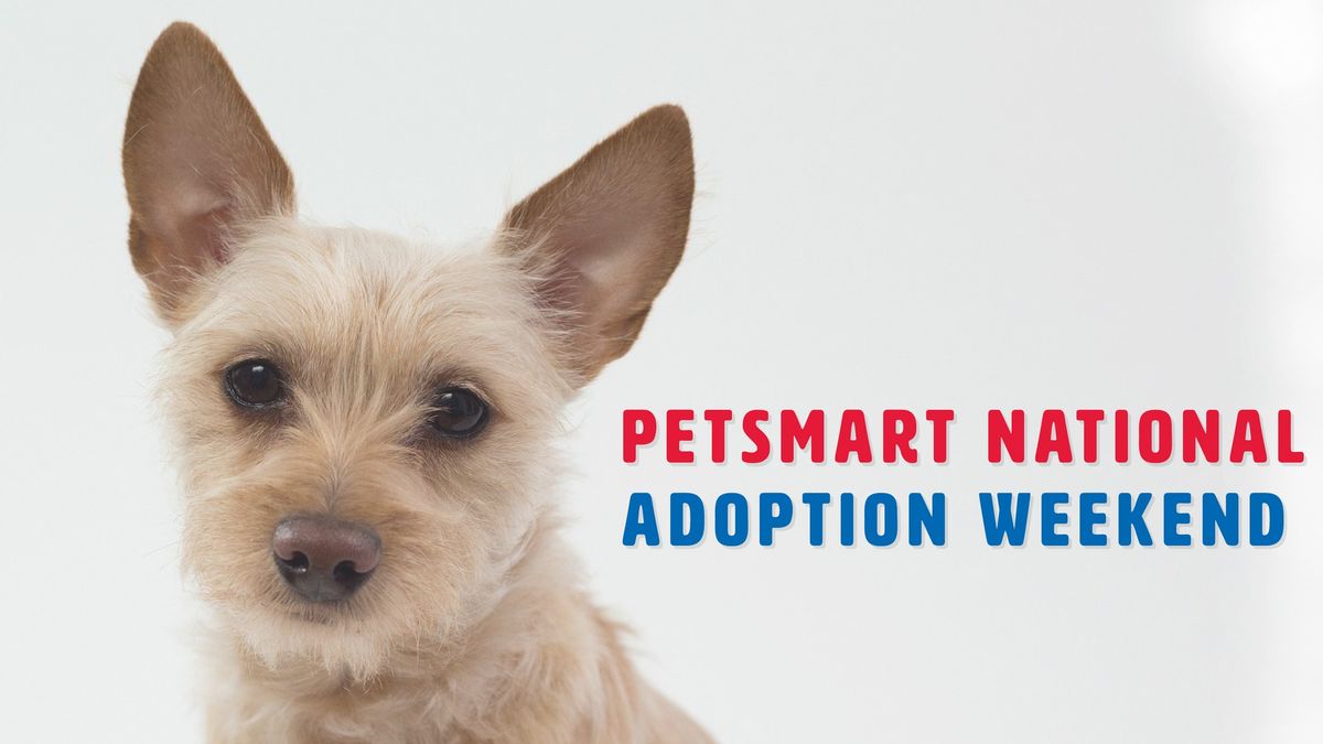 Petsmart National Adoption Weekend