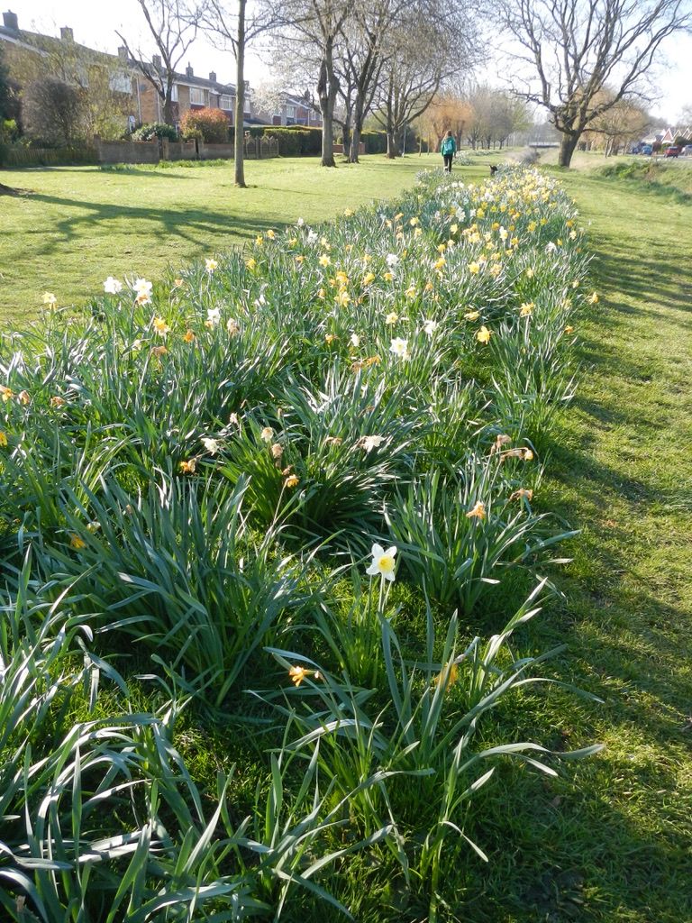 Spring Walk - Bury St Edmunds West