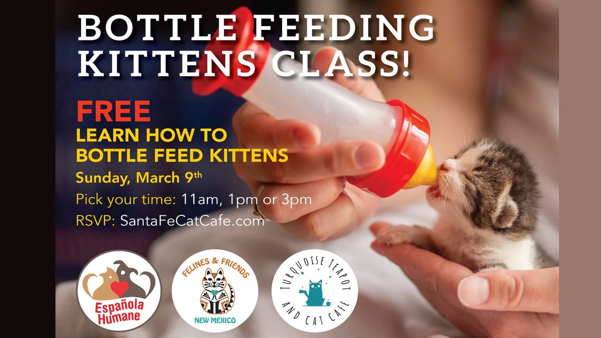 Register for a free kitten bottle-feeding class