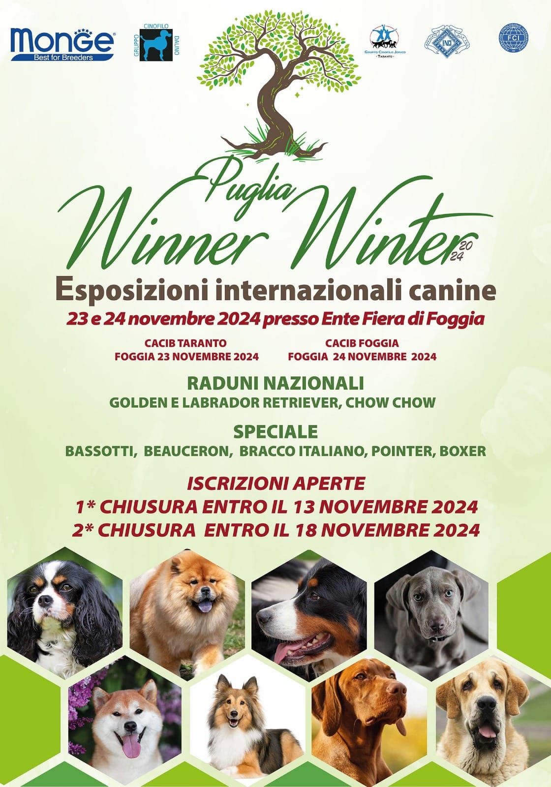 Puglia Winner Winter 