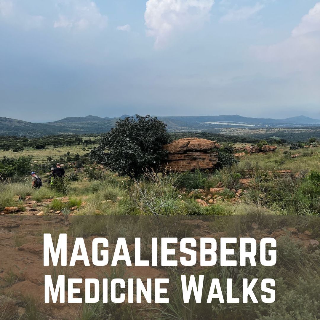 Magaliesburg Medicine Walks