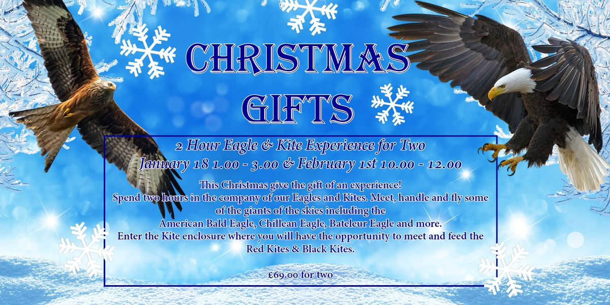 Christmas Gifts - 2 Hour Eagle & Kite Experience for Two