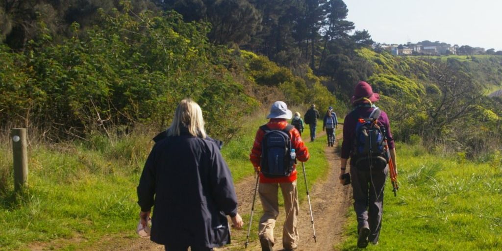 Try Bushwalking Victoria - Tombstones, Koalas, Wildflowers and a Private Garden Picnic at Twilight - Grade 2 (Easy)