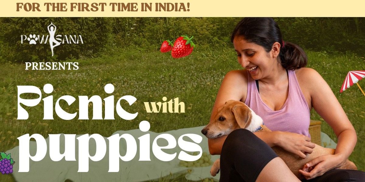 Picnic With Puppies