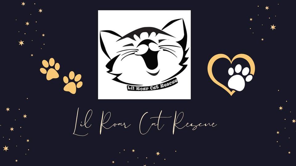 Lil Roar Cat Rescue - Harry Potter Themed Adoption Event - Care of Magical Creatures