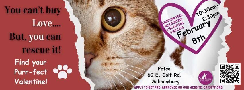 Adoption Pop Up (Petco Schaumburg)