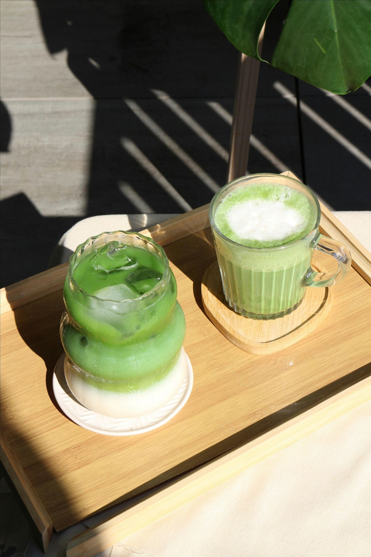 Matcha studio X MOIM Beauty