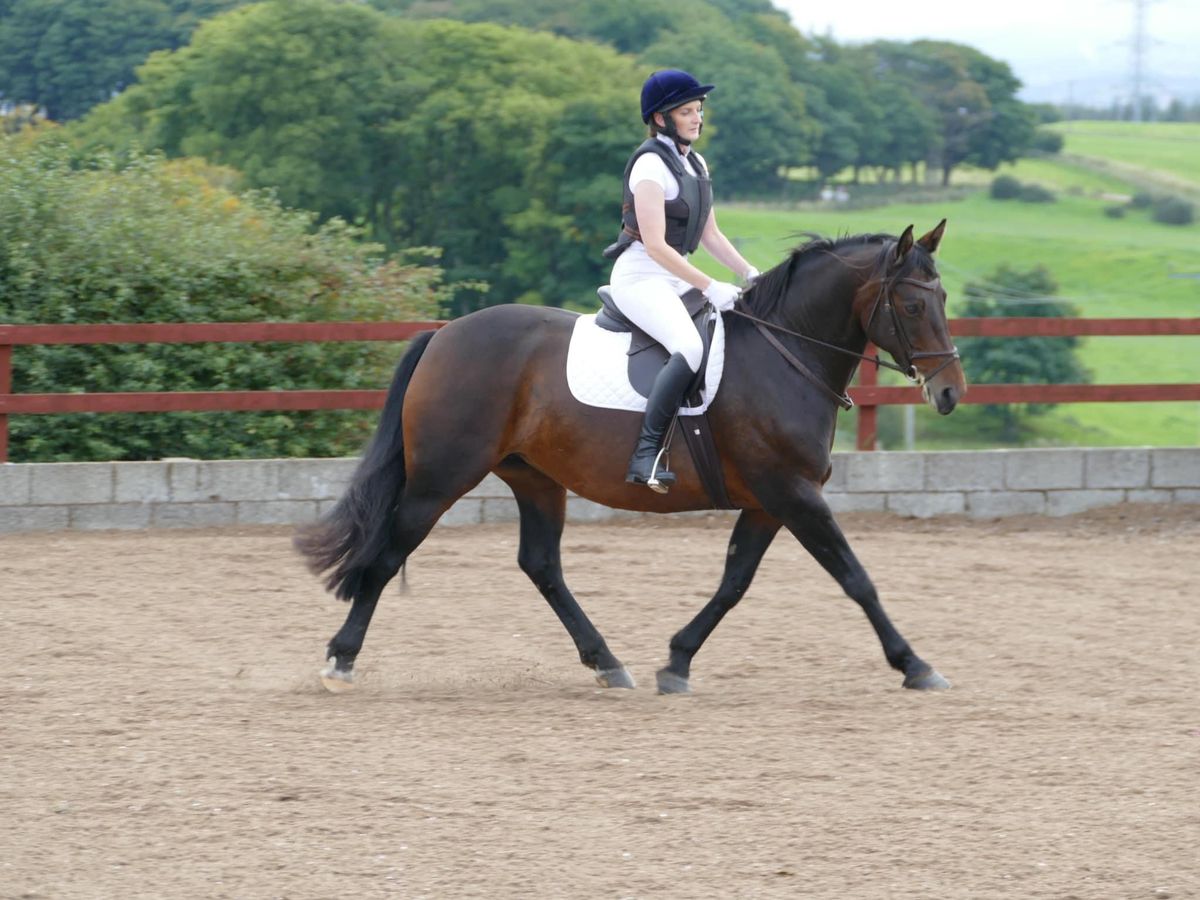 2024 Dressage Series 4