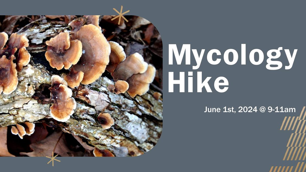 Mycology Hike