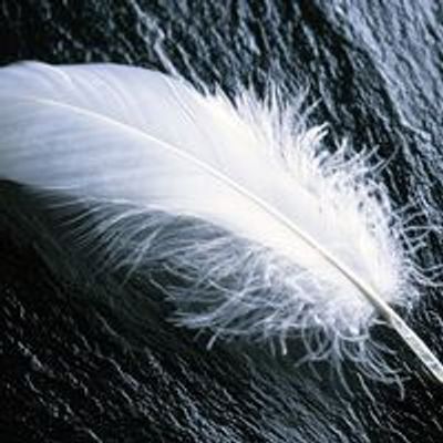 White Feather Wellness