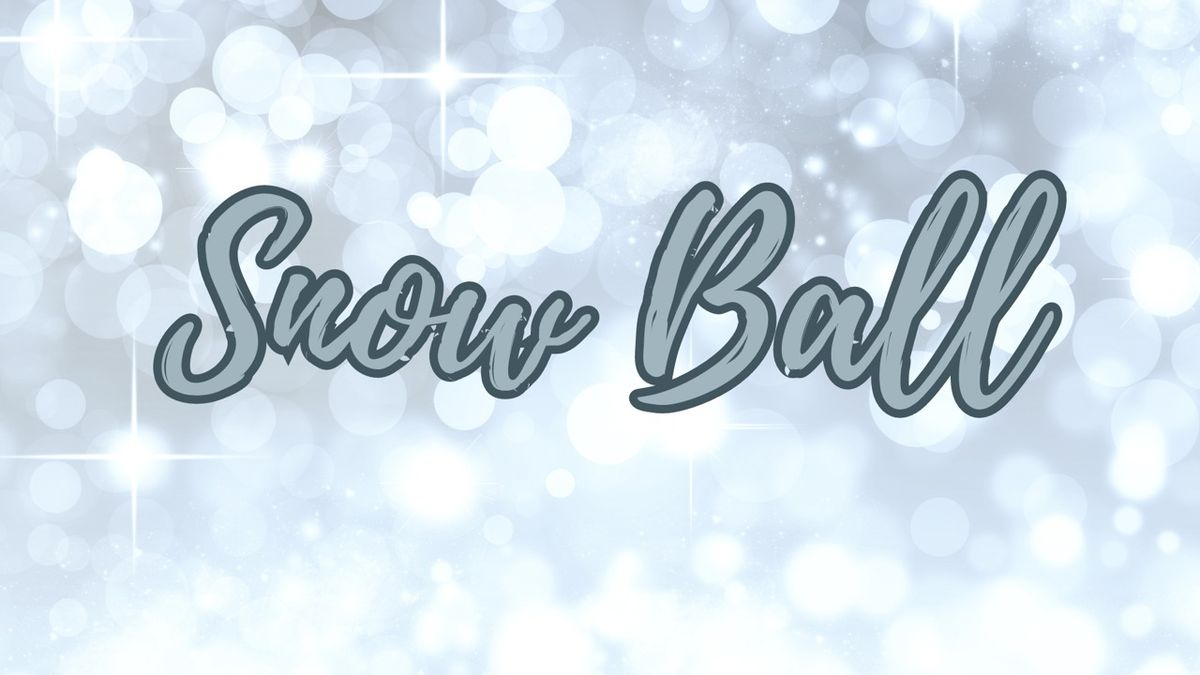 Snow Ball Christmas Party - Night Three