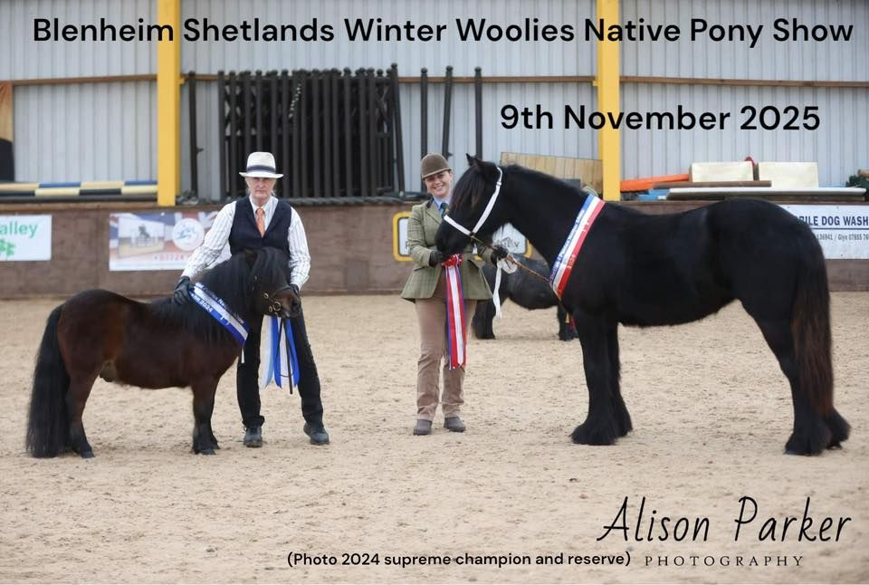 Winter woolies native pony show