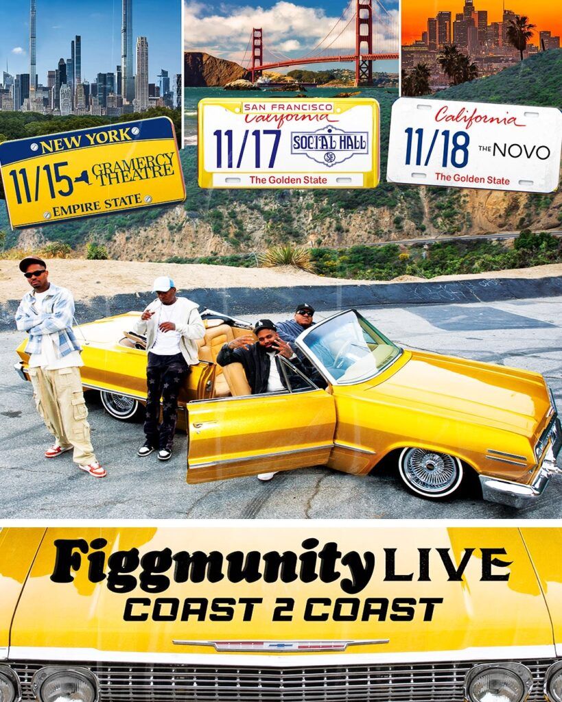 Figgmunity Live (Theater)