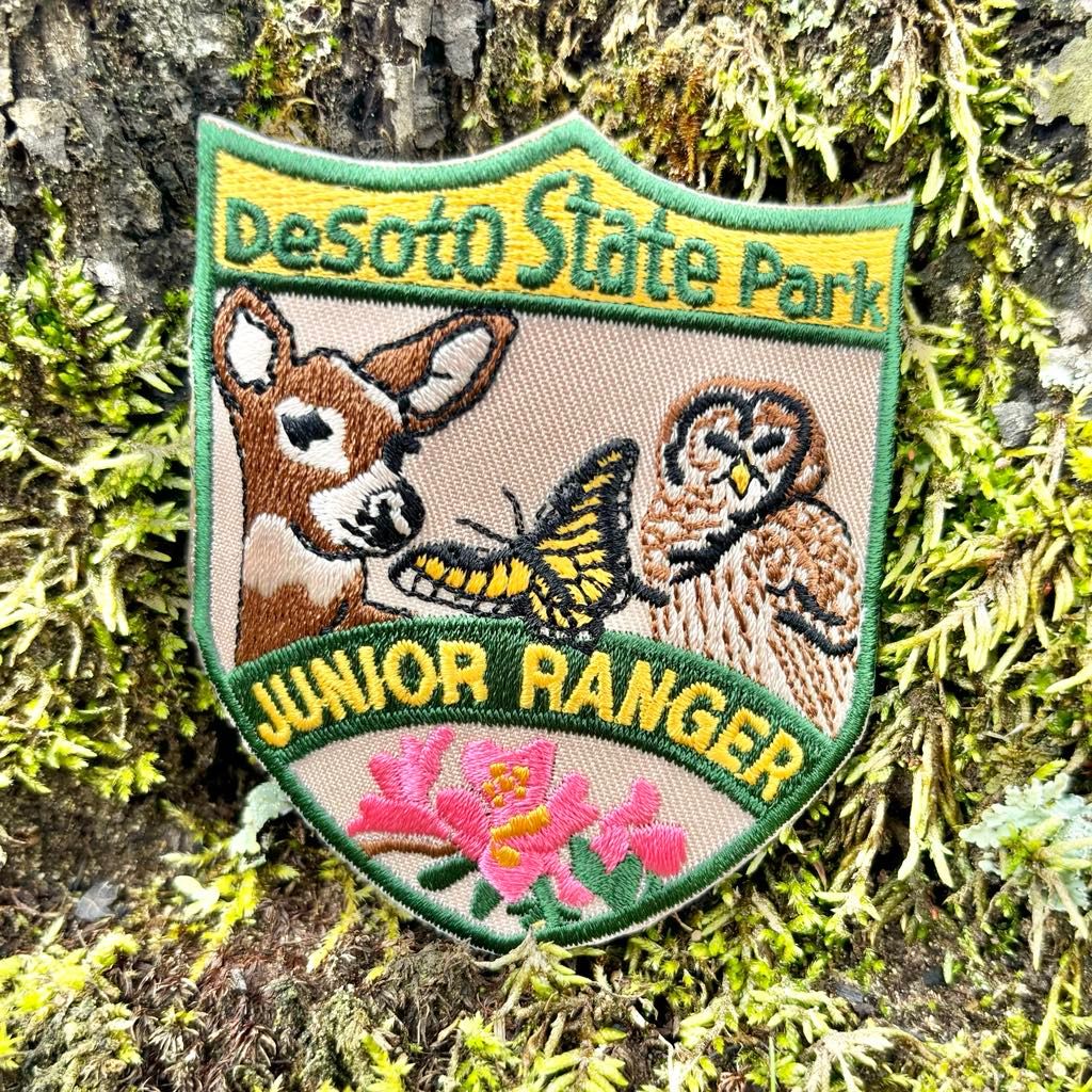 Junior Ranger Adventure Series: Secrets of the Forest Floor