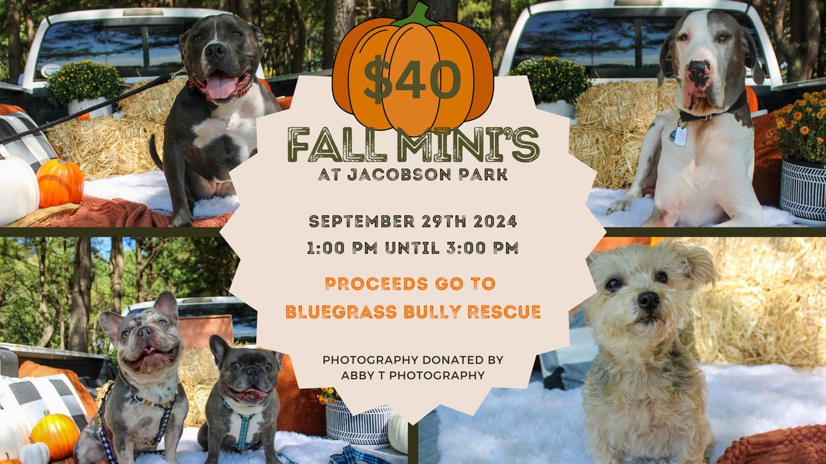 Fall Mini photo sessions for your dogs!