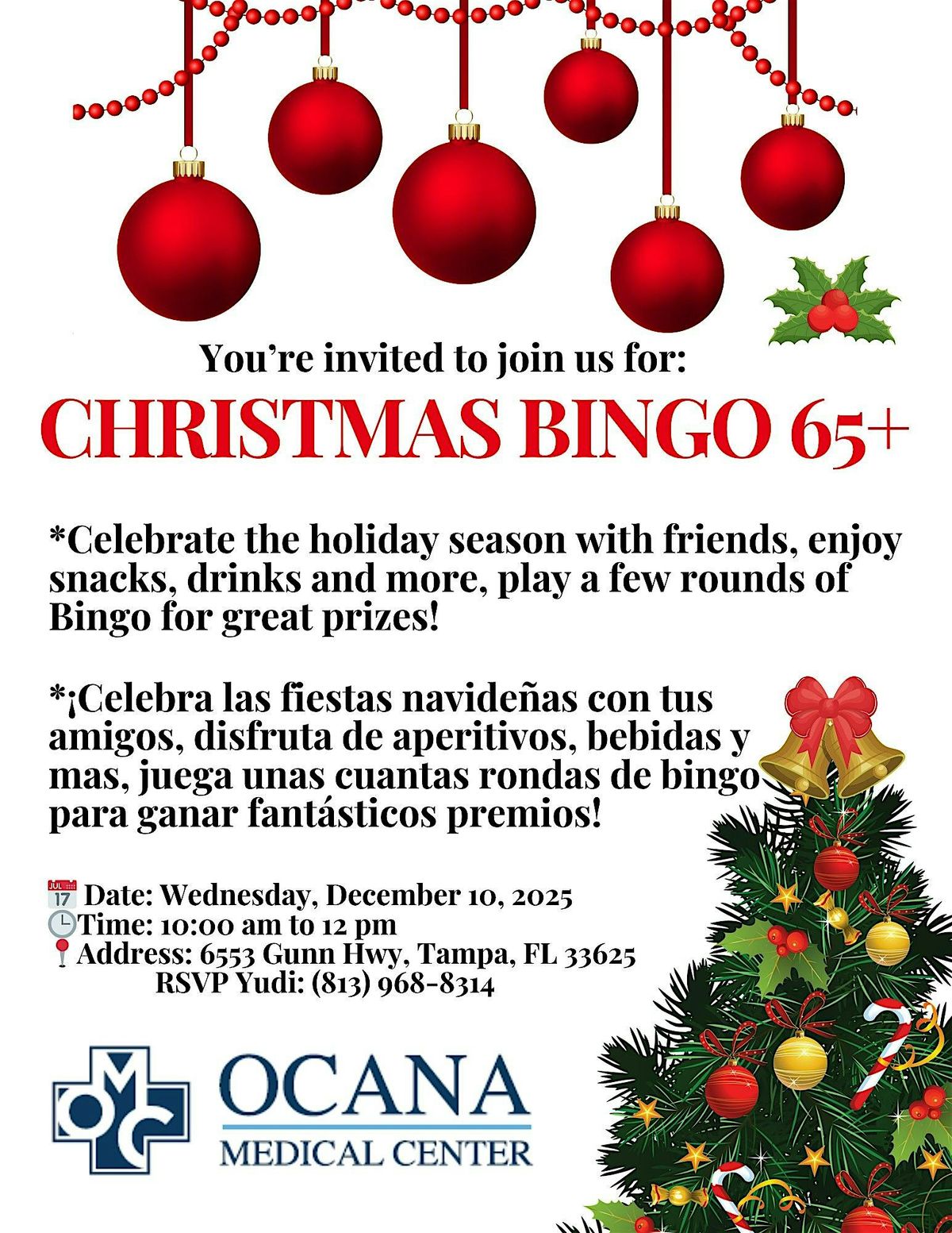 Christmas Bingo 65+