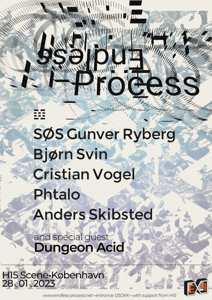 Endless Process // Label Night // SØS Gunver Ryberg ~ Bjørn Svin ...