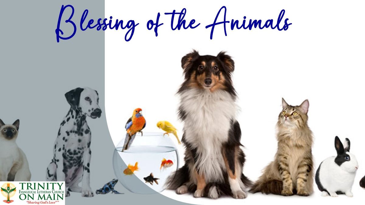 Blessing of the Animals