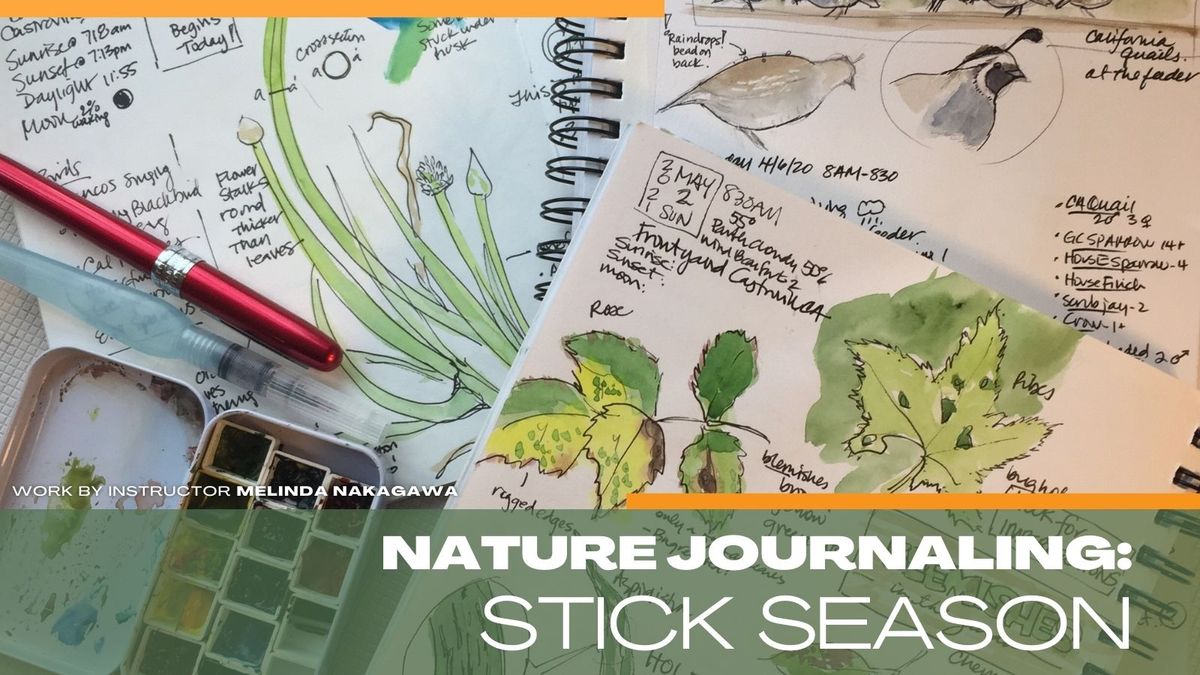 Nature Journaling: Stick Season