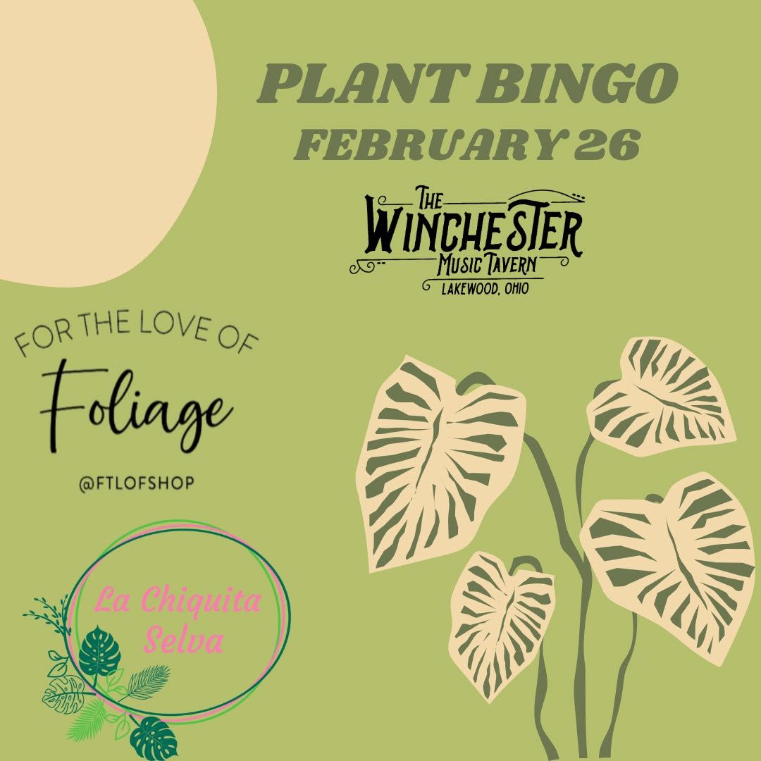 BOOZY BINGO (PLANT)