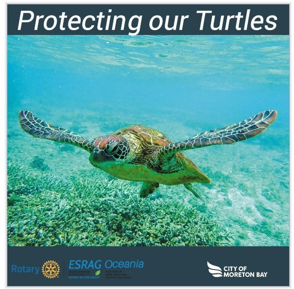 Moreton Bay Family Turtle Awareness Expo  