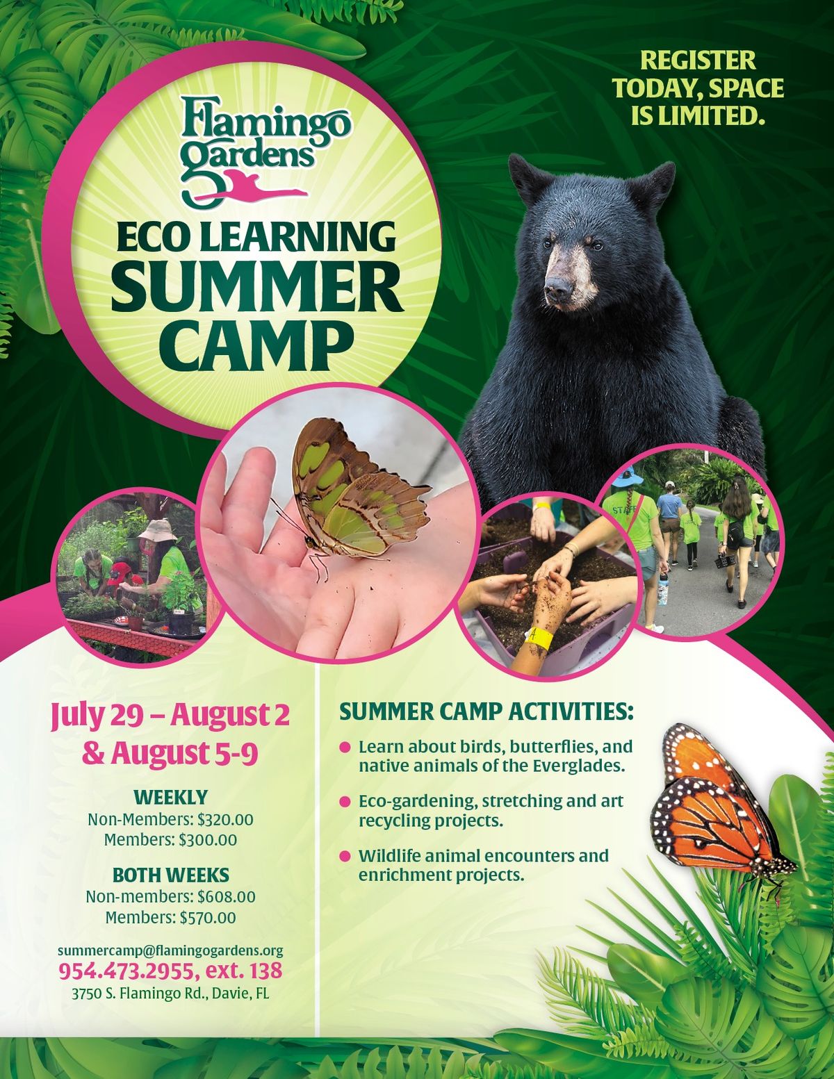 Eco Learning Summer Camp at Flamingo Gardens