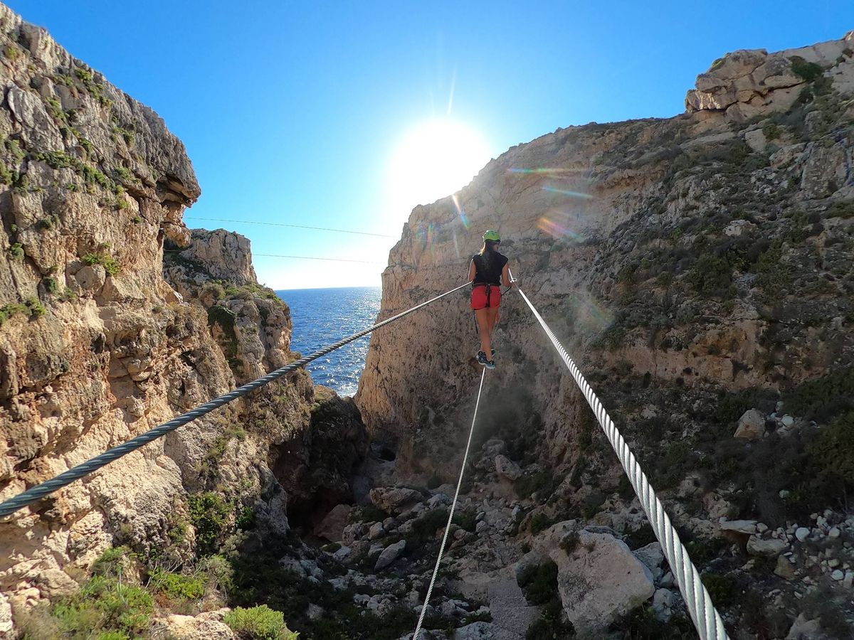 Monkey Bridge