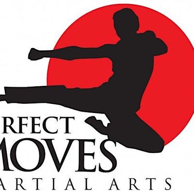 Perfect Moves Martial Arts