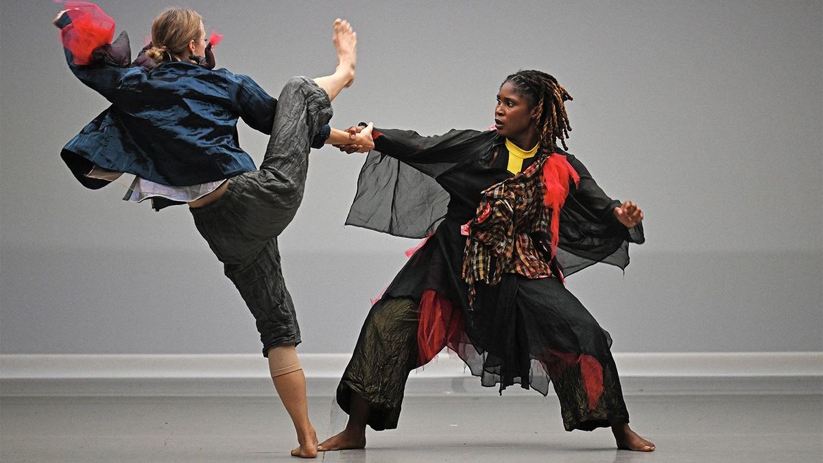 Exotic Animal Races - College Day