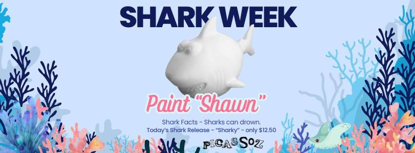 Shark Week - "Shawn" Shark Release