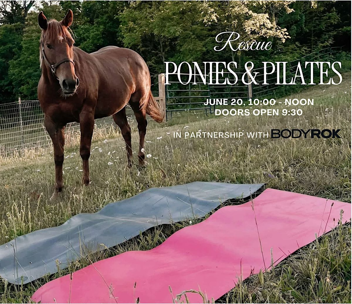 Rescue Ponies & Pilates