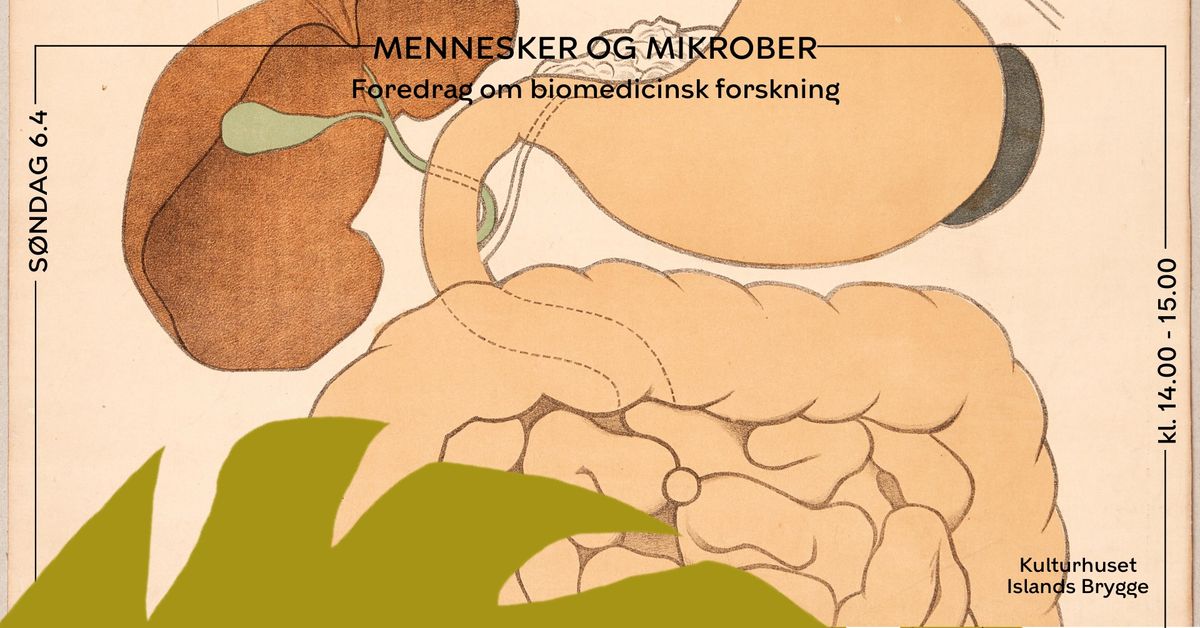 Mennesker og Mikrober