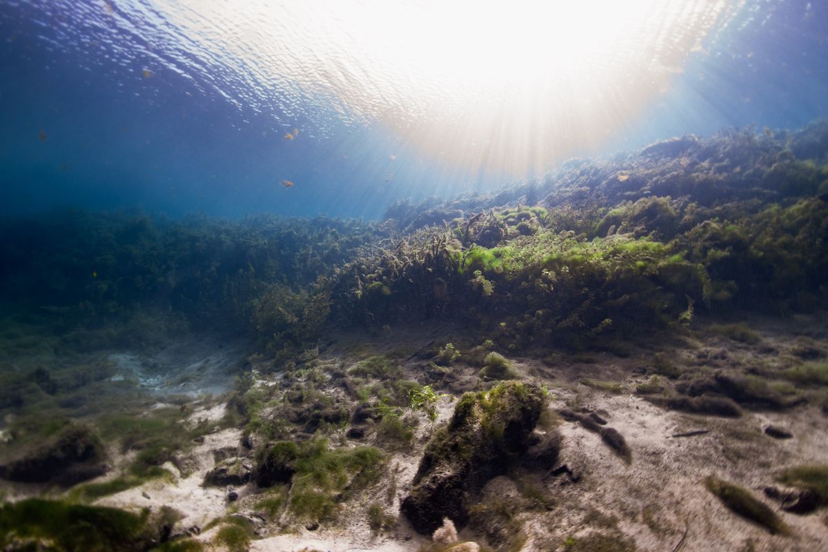 Outdoor Academy: The Wonders of the Water Cycle