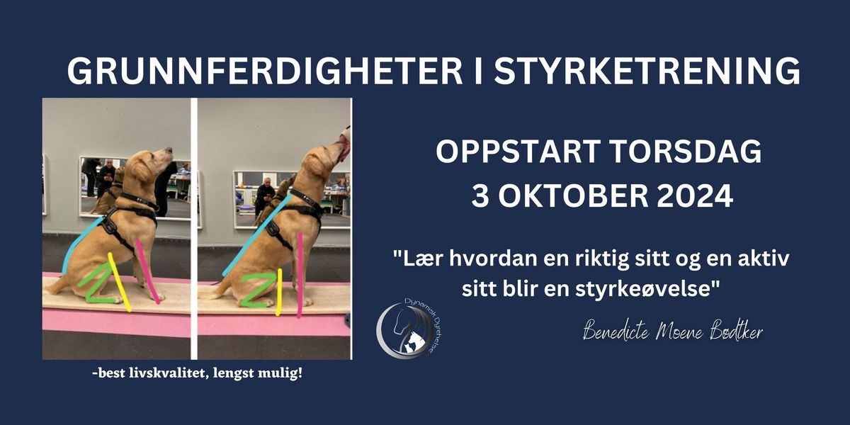 Grunnferdigheter i styrketrening