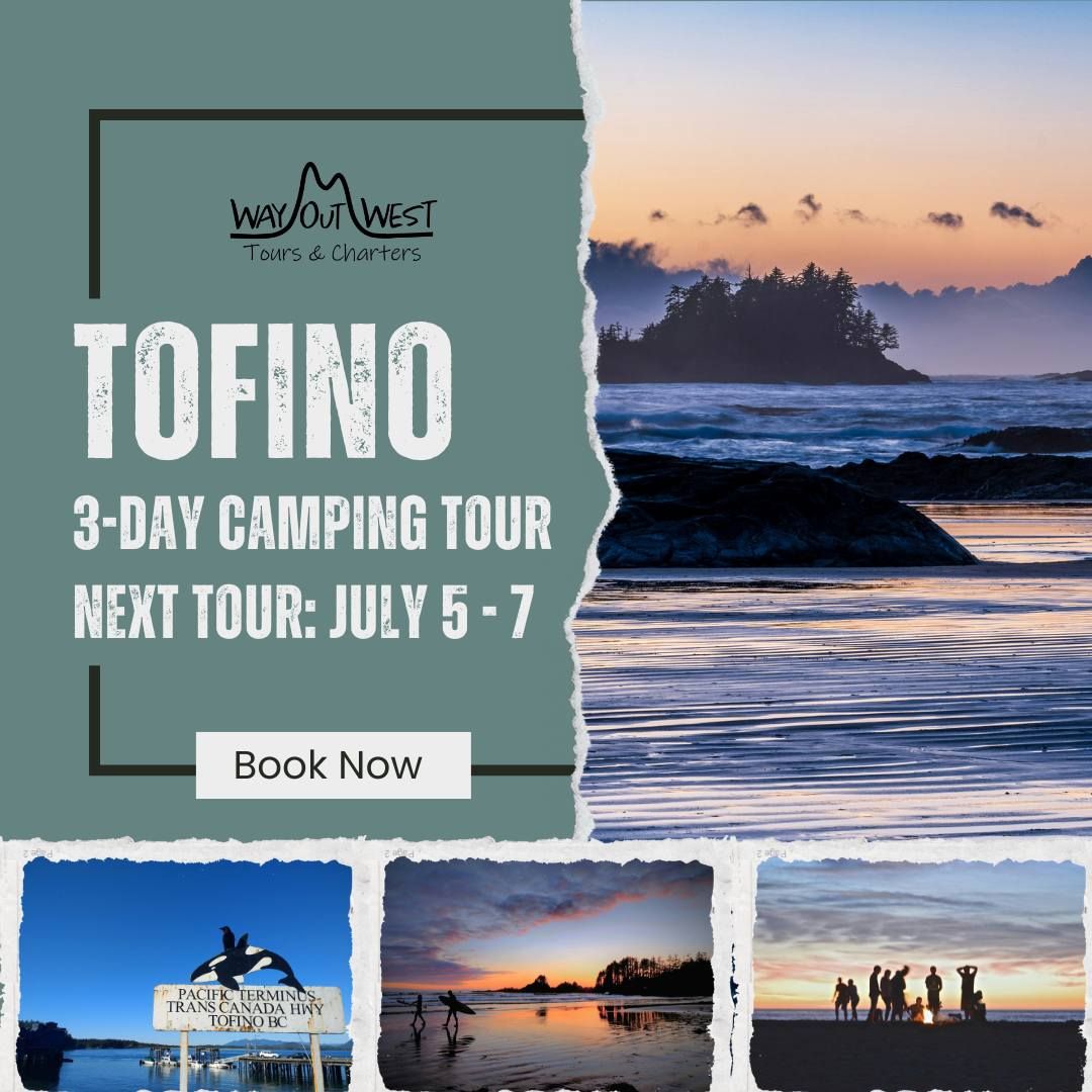 Tofino Camping Tour