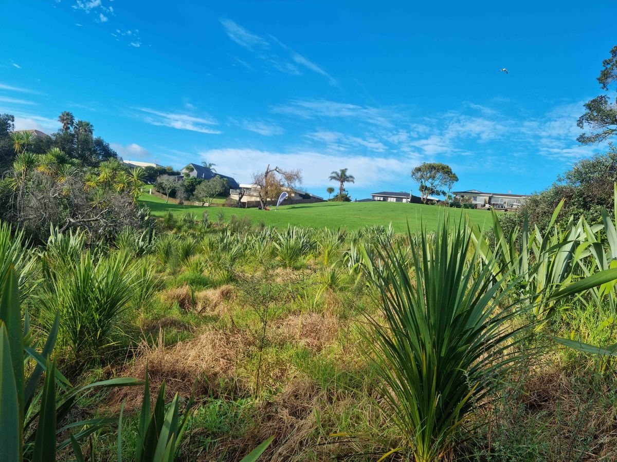 Amorino Park - Volunteer Restoration Morning