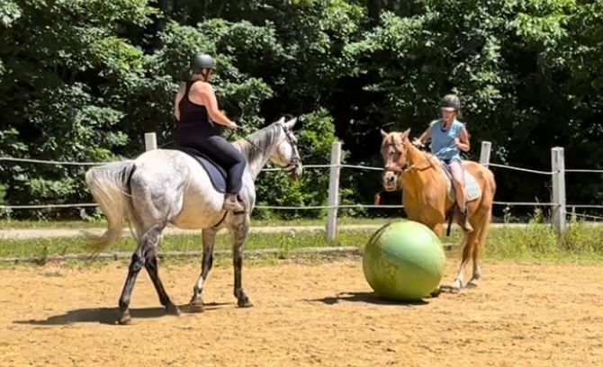 F*** adulting Horsemanship camp June 24-28 North Brookfield Ma