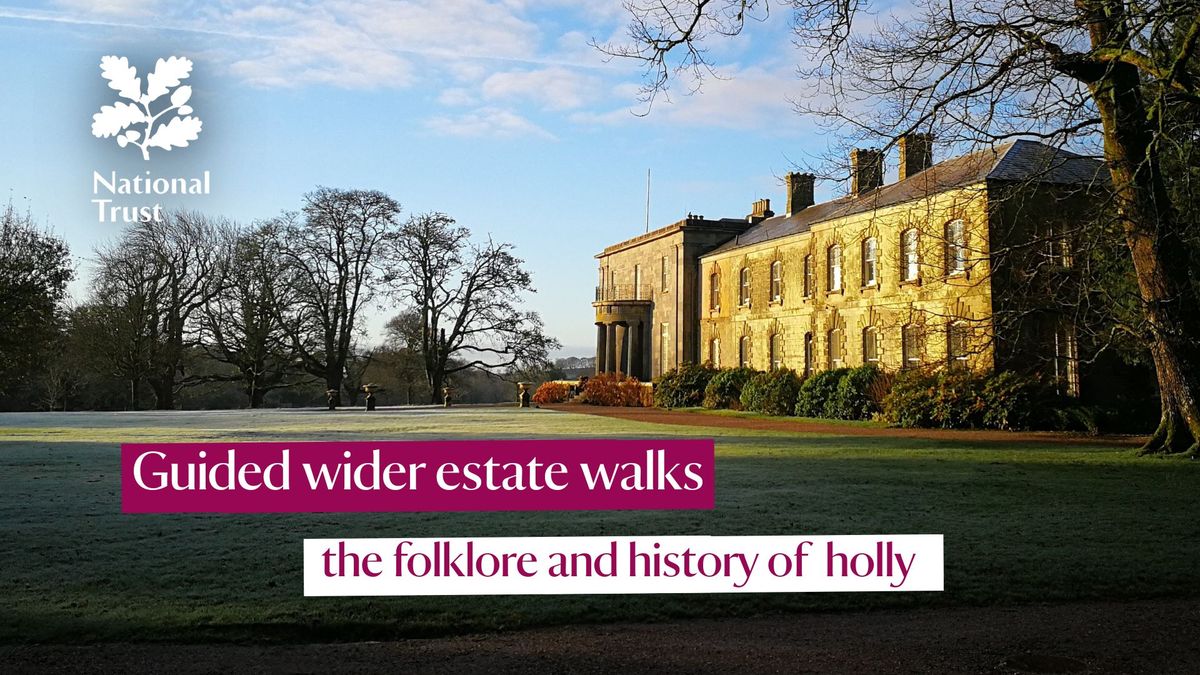 Guided wider estate walks - The folklore and history of holly