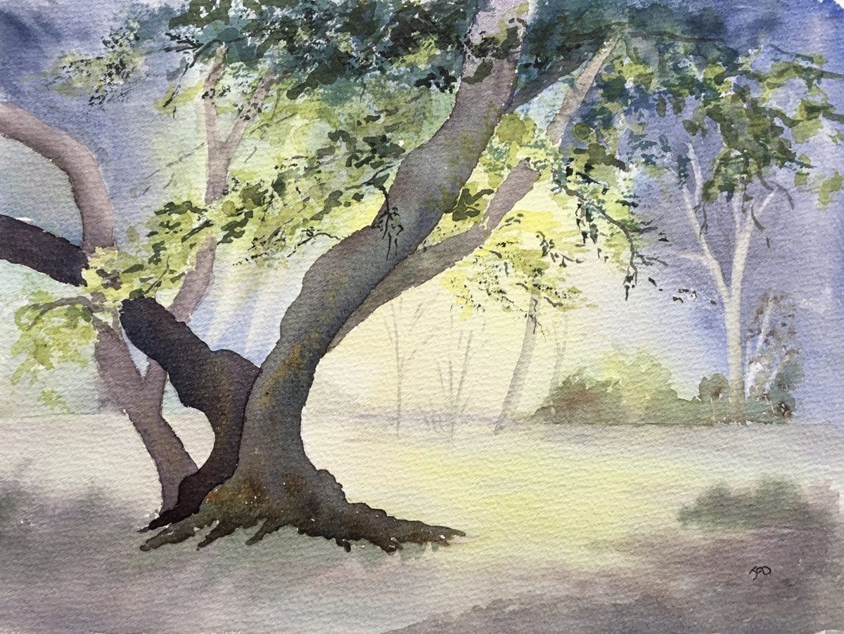 Fundamentals of Watercolour Workshop