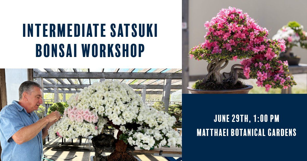 Intermediate Satsuki Bonsai Workshop