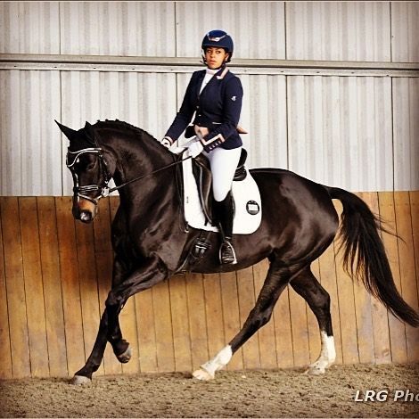 Chipstead RC Dressage at Sands Farm